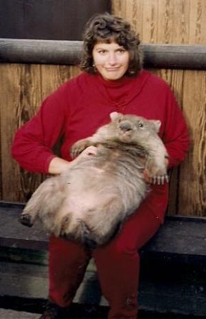 Benefit auction ideas - wombat for Groundhog Day